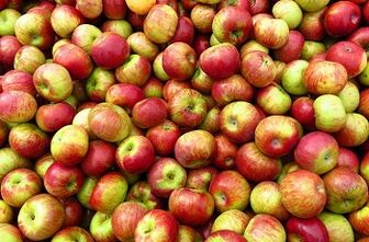 Dieta Apple pentru pierderea în greutate
